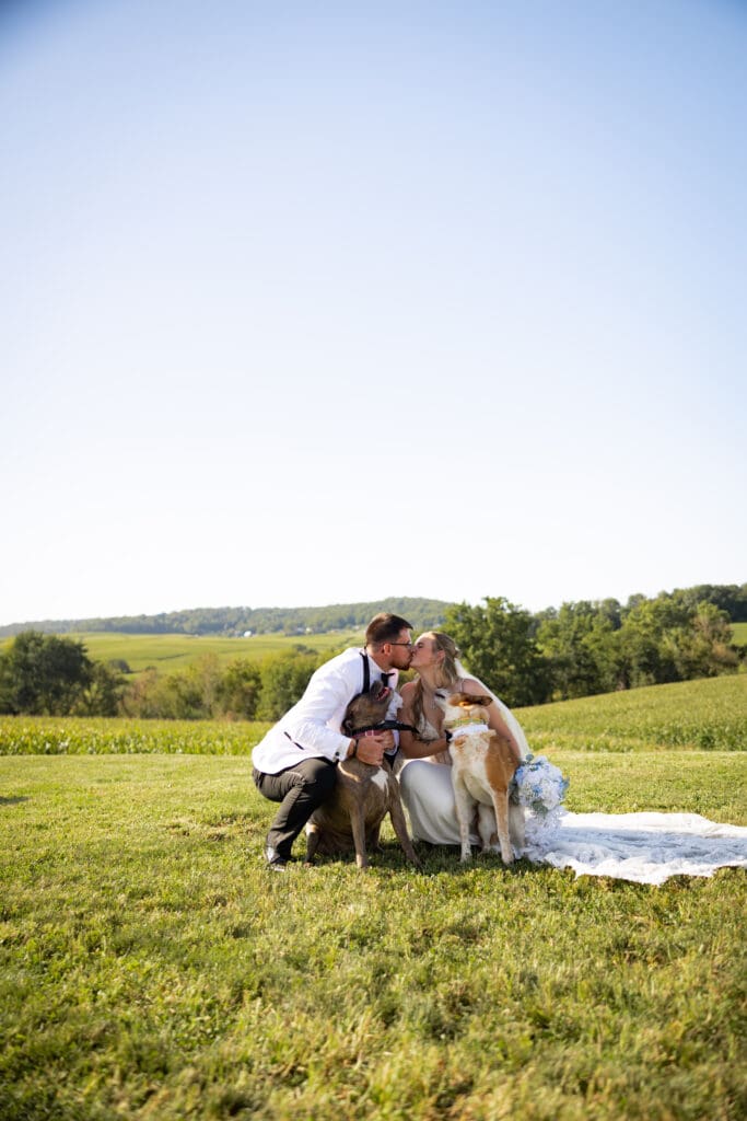 wedding bride and groom with their dogs