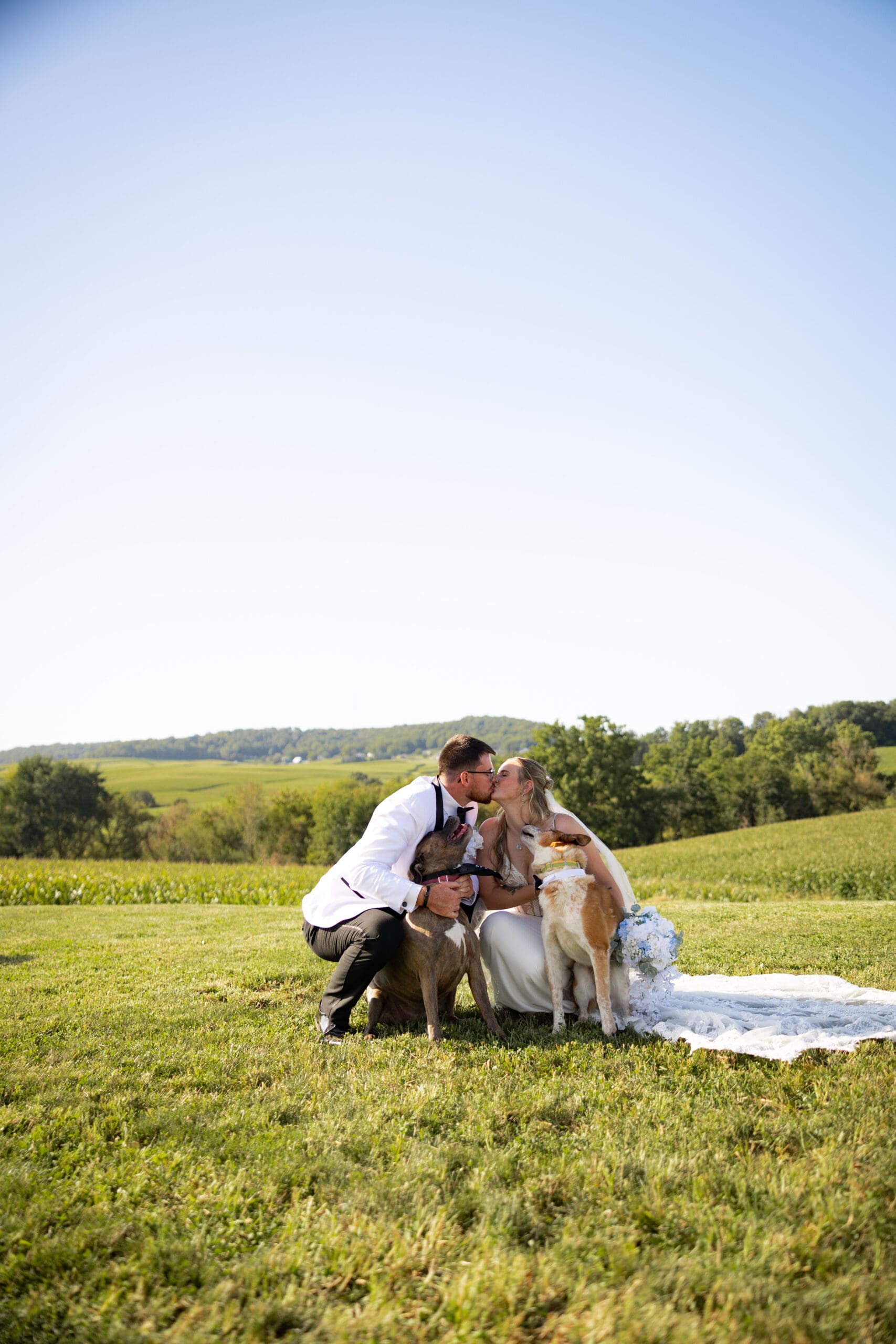 wedding bride and groom with their dogs